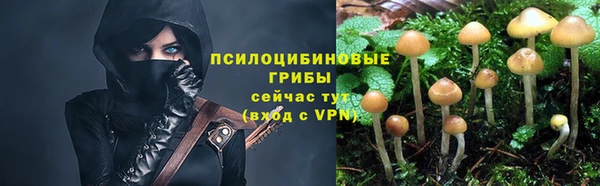 гашик Волосово