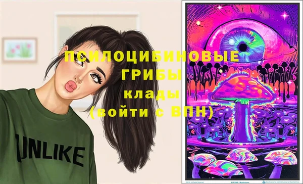 гашик Волосово